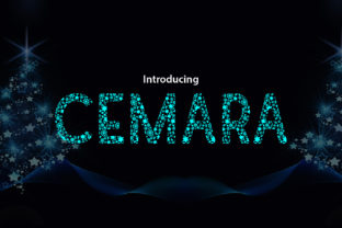 Cemara Display Font Review for Small Business Branding
