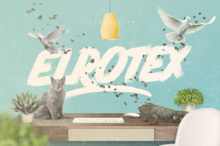 Elrotex Typeface: Bold Display Fonts for Standout Editorial Design