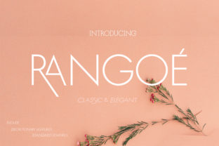Rangoe Typeface Review: Elegant Display Fonts for Modern Branding