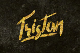 Tristan Display Font for Bold Web Design